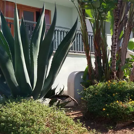 Prázdninový dům Il Gelsomino